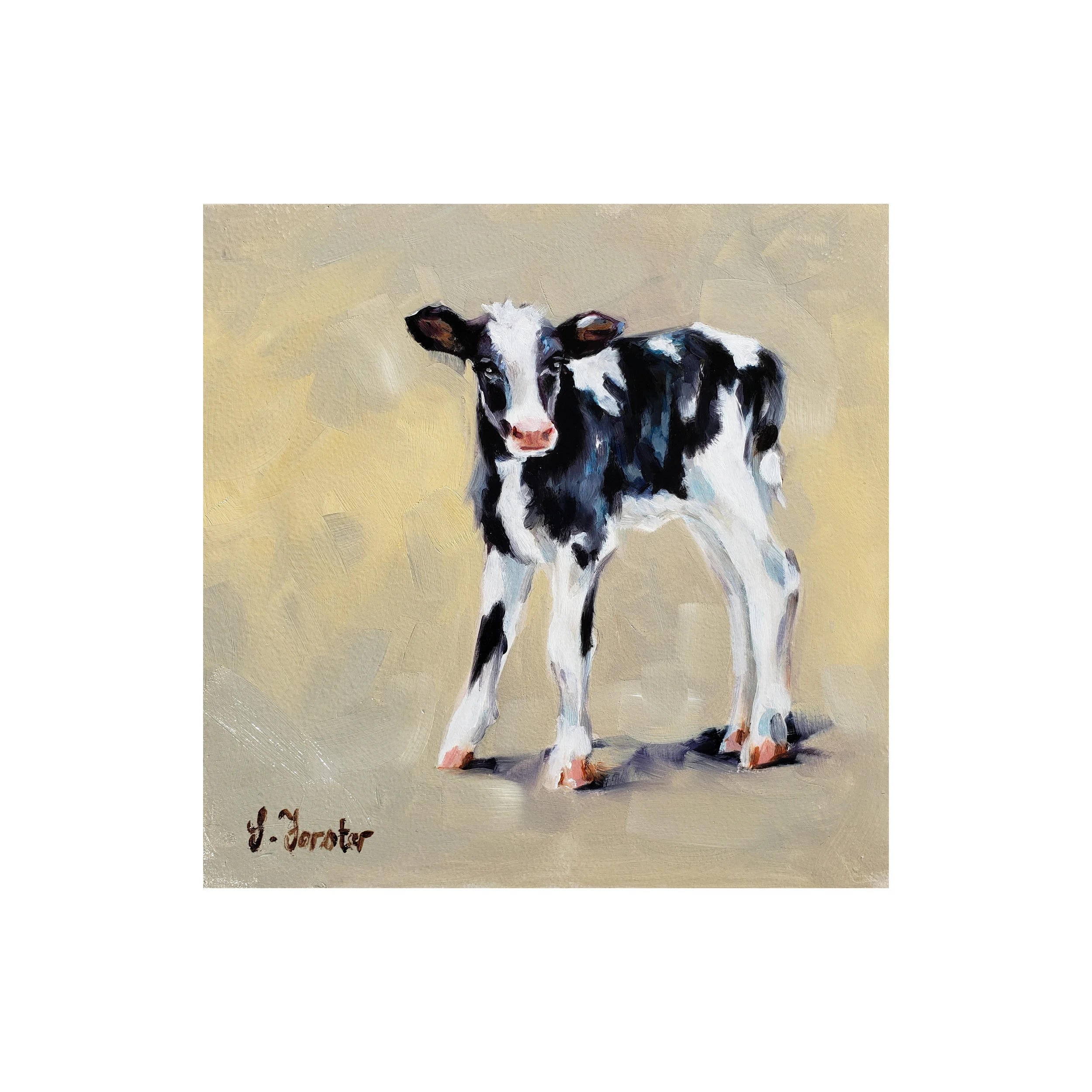 Sonja Forster Art - 8”x 8” Mothers Calf Staring